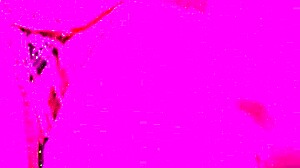 quick doggystyle session with a cougar milf showing off her big natural tits