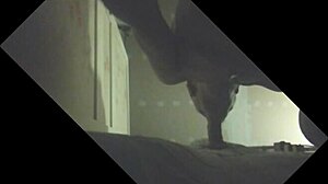 Etalon Couilles Pleines Gros Juteur Se Fait Purger En Glory Hole