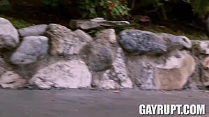 The easy life with Roman Todd and Cliff Jensen