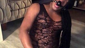 transsexual begs for huge cock in anal