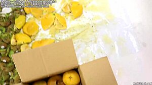 food crush is so satisfying 😋