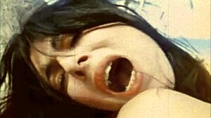 Dark Lantern Entertainment razkriva Dragonflyjevo surovo plažno željo