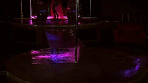 Experience Live Safaris with Mexican Dancing Performances