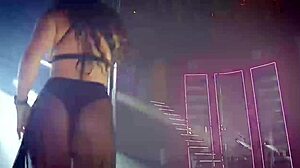 Experience Live Safaris with Mexican Dancing Performances