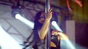 Experience Live Safaris with Mexican Dancing Performances