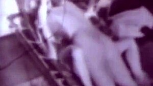 Two centuries of hairy lesbian vintage