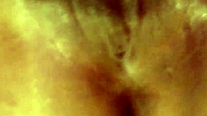 I squirt passionately in the morning