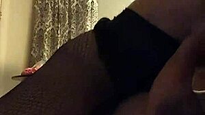 Danielle roy rides cody roy's monster cock intensely