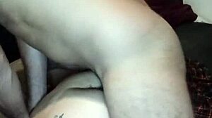 Ensinando o professor a gemer no pelo