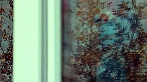 Did You See That Naked Milf In Stockings Without Panties Washing Windows In Public Taxi