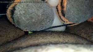 Жесткая мастурбация с моей любимой игрушкой