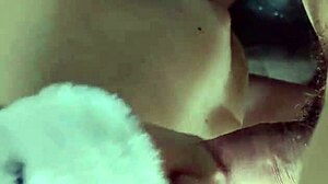 I love sucking this huge cock!