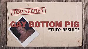 Gay Bottom Pig Study Results