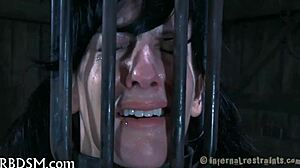 Sadomasochism Hardcore Porn Videos