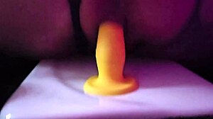 ridin my porcelain horse