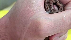 young twink enjoys homemade gay fun with brazilian neighbor