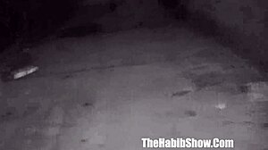 Intro Layla Red Thick Booty Redboned Phatt Juicy Booty