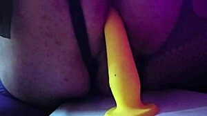 ridin my porcelain horse