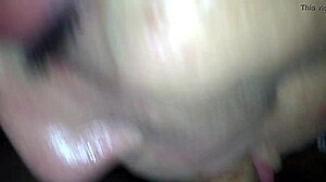 amateur whore records licking and handjob on cock