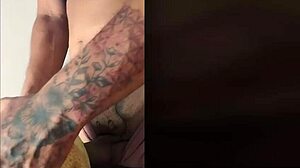 ts angelique monroe explores food fetish by fucking a melon and cumming