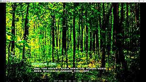 the message in the dream breeding island part 15