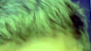 Gay guy jerks off hard until he cums