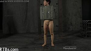 Femdom Sadomasochism Exploration