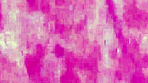 Real blonde lesbian licks and fingers her babe in homemade POV