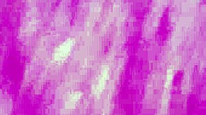 vivi guedez made adult film without husband knowing