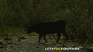 lets fuck outside cute brunette big boobs public car