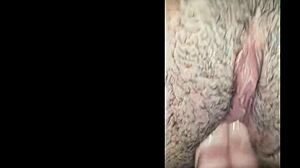 Goodtowatch Fingers Wet Pussy Orgasm Dripping