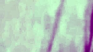 vivi guedez made adult film without husband knowing