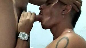 Kissed that hot cock before fucking him hard