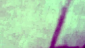 vivi guedez made adult film without husband knowing