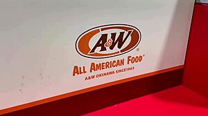 Heading to miyako island to see the heart rock 🌴