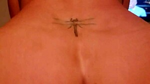 hey, are dragon fly and sexaddic having outdoor sex with that monster cock?