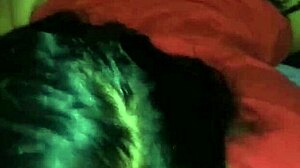 Mamada De Verga By Amateurs In Intense Blowjob Session