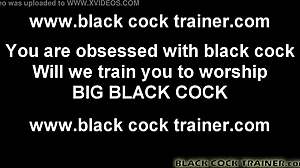 you look desperate for big black cock 😈