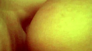 i love these hot homemade latina fucks with big asses and cumshots