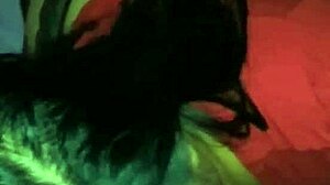 Mamada De Verga By Amateurs In Intense Blowjob Session