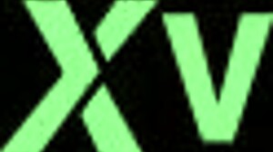 Long fat cock in her mouth