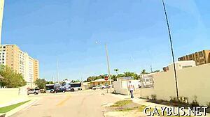 Perverted Homo Sex Scene