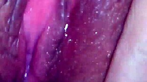 Team Cream Pie Action!