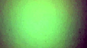 Rica mamada de mi colombiana spreading her big tits