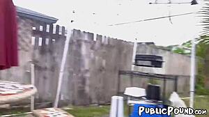 Brown and busty Aaliyah Hadid rides a monster cock in public.