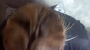Blonde Amateur Deepthroats Then Takes Anal Cumshot