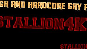 I am a hunk who knows how to handle dicks