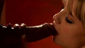 Blowjob Master With Amazing Milf, Oops I Mean Exotic Indian