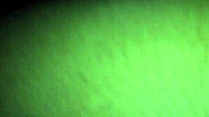 Long fat cock in her mouth