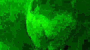 lunchtime fun with amateurs